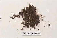 藏品(濕地苔屬)的圖片